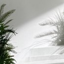 웨딩 촬영 02. 생화 플라워 디렉팅이 꼭 필요할까?: 더마쉬(The Marsh) 플라워 디렉팅 후기