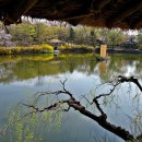 야탑1동 주민센터 이미지