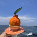 우진마트 | 제주시 맛집 우진해장국, 한라봉 젤라또 휴즐리 제주본점