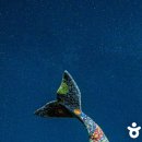 태백종합관광안내소 이미지