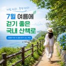 "여름 무더위 싹 날려버릴!" 7월에 걷기 좋은 국내 산책로 베스트 숲길 해변길 코스 총정리