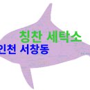 예향세탁소 | 인천 서창동 크린토피아 코인워시, 방문 전 알아둘 장점과 단점 (187개 리뷰 분석)