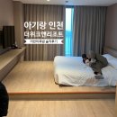 더 마루 | 아기랑인천여행 숙소, 더위크앤리조트 어반마루 솔직후기