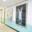 상주중앙초등학교 이미지