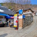 오시다남해 네이버블로그