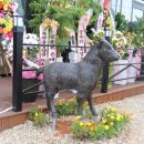 늘푸른영양탕 이미지