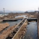 수입2교 이미지