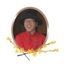 구례밀밭 이미지