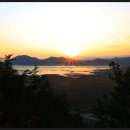 순천만습지 이미지