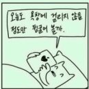 청소닥터 이미지