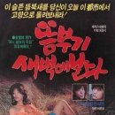 1984 뜸부기 새벽에 날다 이미지