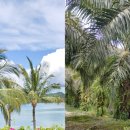 동남농장 이미지