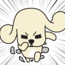 온마음동물병원 네이버블로그