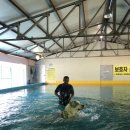 경북애견 이미지