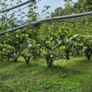 지오농장 이미지