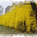 경상유치원 이미지