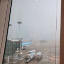 글로벌비지니스프라이드 | [중국 출장기] 항저우 IN, 상하이 OUT 이우 국제시장 글로벌 호텔 숙박과 조식 후기