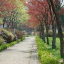 다리안관광지 이미지