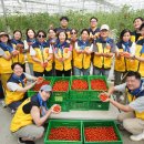 푸르메농장 이미지