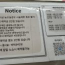 네일;쏘뜰리에
