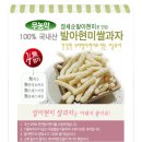 조이스넥