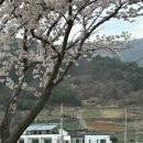 카페 작금