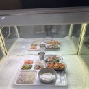 동안구청구내식당 | 종로구청 구내식당 외부인 관점 후기 - 6000원에 일반인 이용가능 (제로페이 결제시 5000원대)