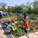 도시농업전문가 과정(80시간) 이미지