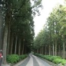 절물자연휴양림 이미지