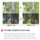 소니 A7M5 (ILCE-7M5) 솔직 후기 (사진과 영상 다 잡은 올라운더의 귀환)