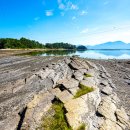 토끼와 거북이길 이미지