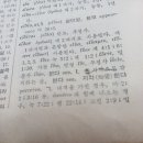 에이돈은 호라호의 부정과거일뿐입니다 이미지