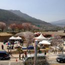 화개장터 이미지