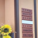 신박사 콩사랑 이미지