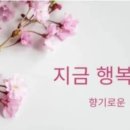 초우따라