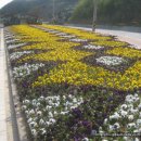 리비스(주) 이미지