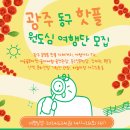 남영관광 이미지