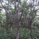 유성구세동보건진료소 이미지