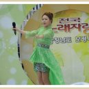 2015년 전국노래자랑( 충남 보령편 )~~~ 2 부( 오라버니 ) 이미지