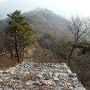 정선고성리산성 티스토리