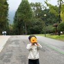 닥터진치과의원 이미지