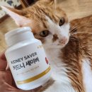[에뽀냥 영양제🧶] 기호성 좋은 &#39;고양이 신장영양제&#39; 후기