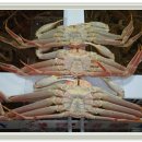 털보순대 이미지