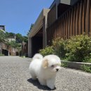 몽글몽글 이미지