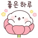 뷰안경 네이버블로그