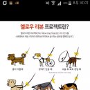 리본프로젝트 티스토리