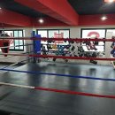 S복싱스쿨 이미지