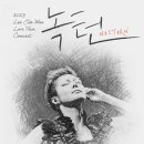 가수 이은미 콘서트 이미지