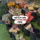 모텔리빙 | [대구 혼자 여행] 1박 2일 뚜벅이 감성 코스 추천(1) ♪₊˚