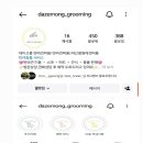 데이즈몽애견샵
